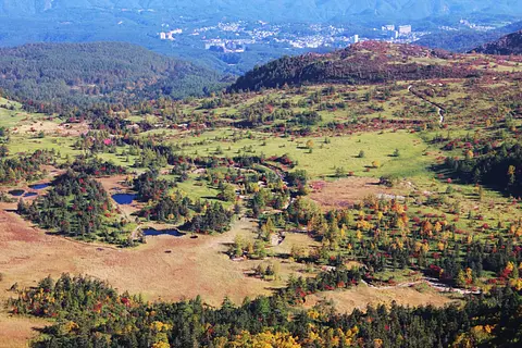 ラムサール条約登録地を歩く！ 芳ヶ平湿原とチャツボミゴケ公園散策ツアー受付中！（中之条町）【3月30日（月）～10月31日（土）】