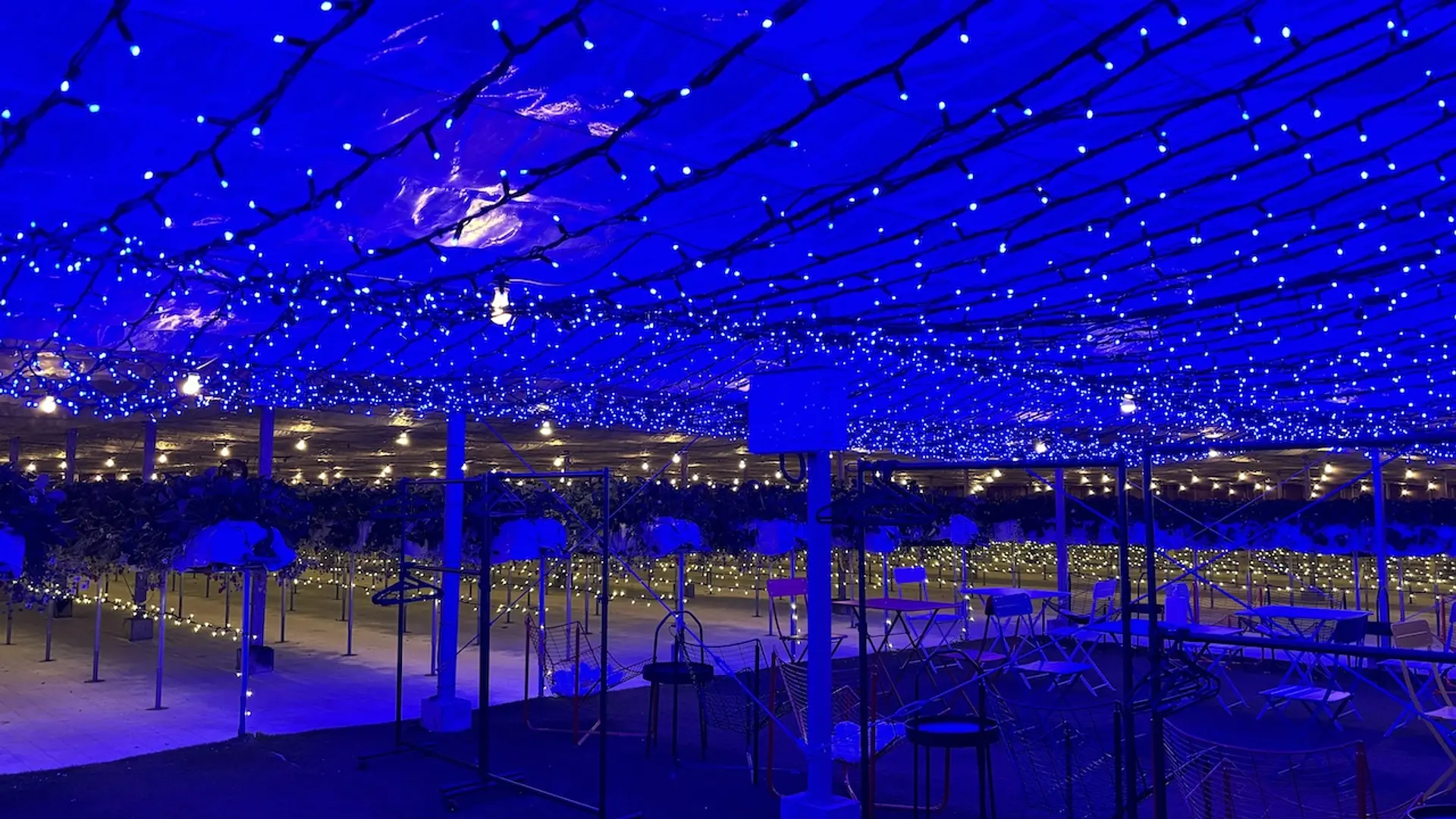 ライトアップされたストロベリーラボ