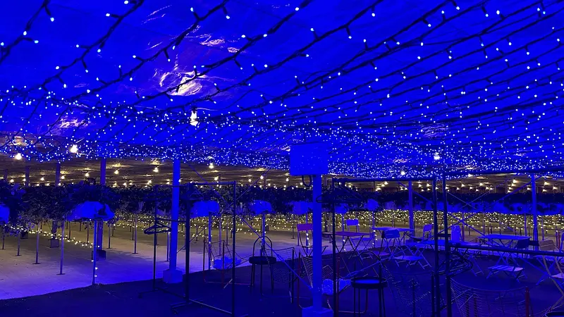 ライトアップされたストロベリーラボ