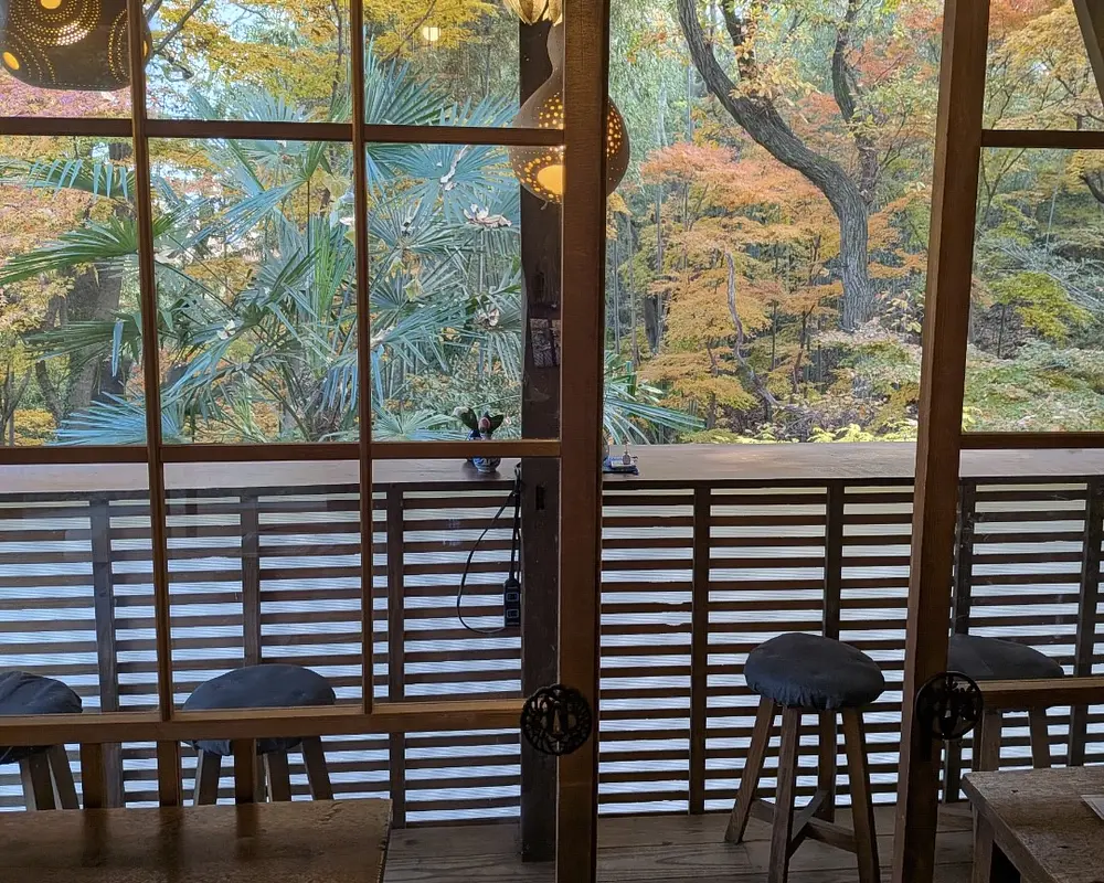 店内からの風景