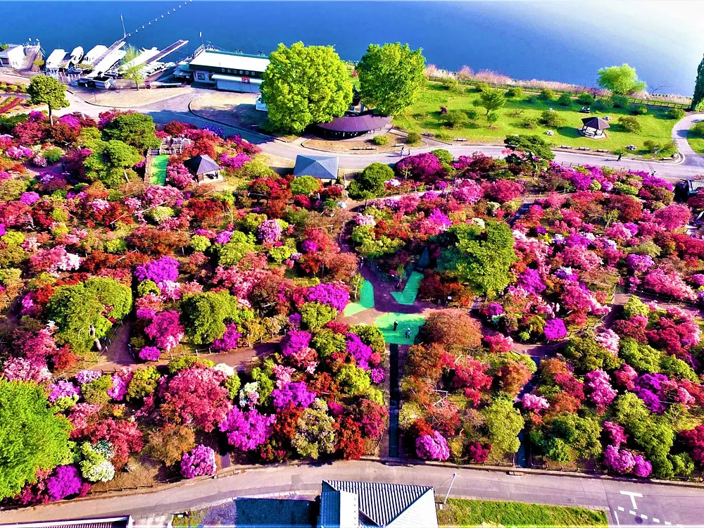 つつじが岡公園