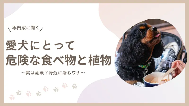 【バナー】0306①愛犬にとって危険な食べ物と植物.png