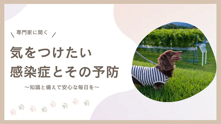 気をつけたい感染症とその予防