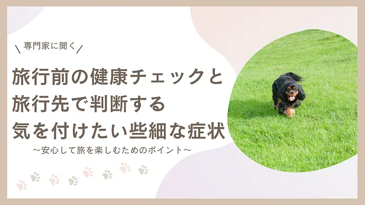 旅行前の健康チェックと、旅先で判断する気を付けたい些細な症状