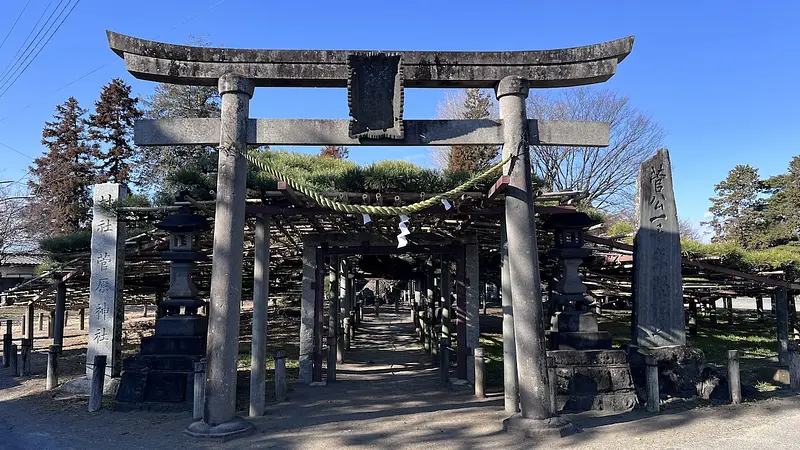 連取のマツ