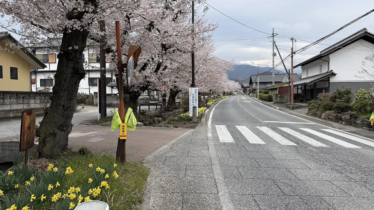 桜舞う甘楽