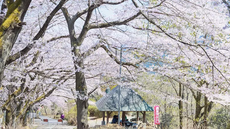 一息つける東屋