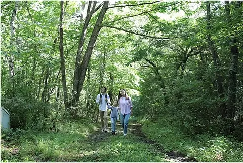 鹿沢の森 初夏のガイドウォーク（嬬恋村）【5月7日（木）～6月5日（金）※土日除く】