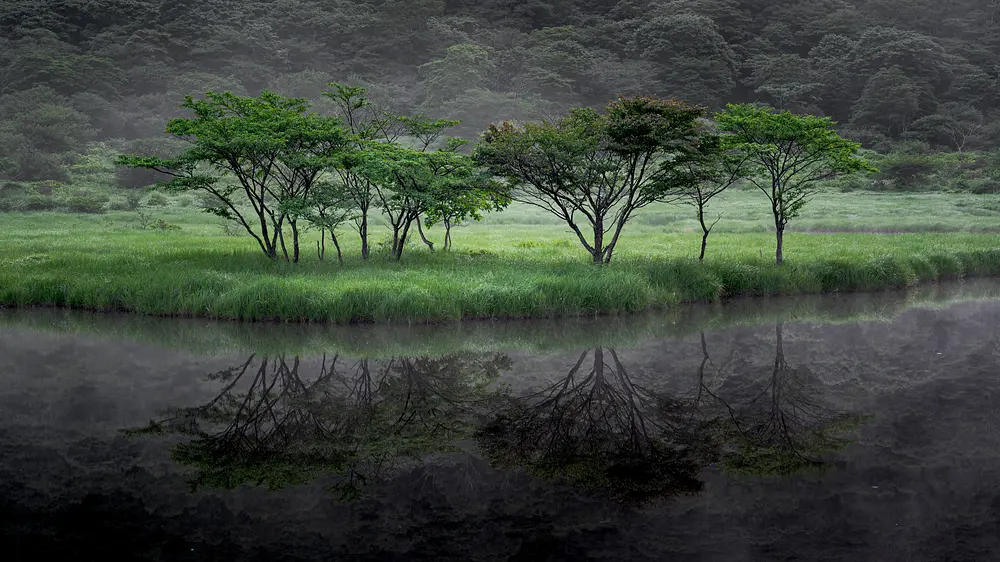覚満淵