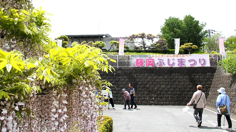 藤岡ふじまつり