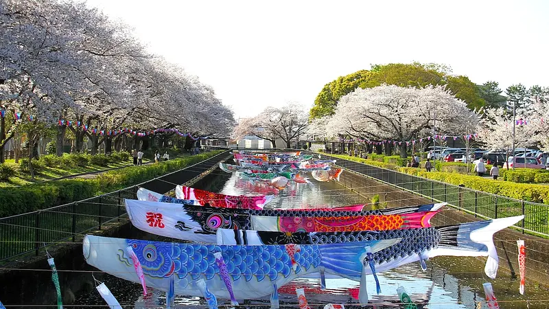 二の丸橋から見る桜と巨大こいのぼり