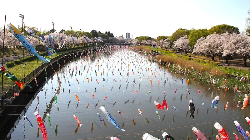 ふれあい橋で圧巻の光景