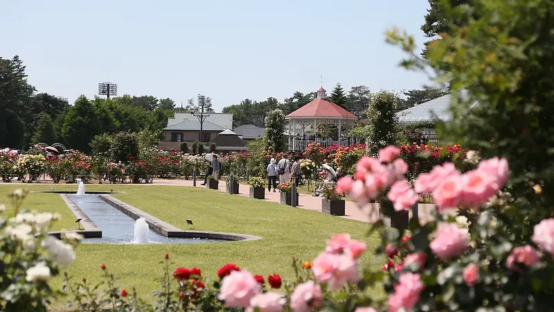 敷島公園門倉テクノばら園