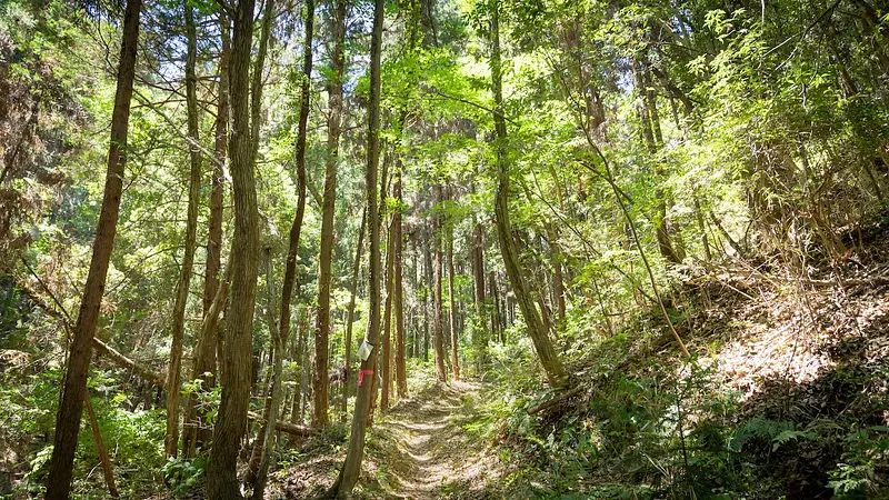 幅広い年代を包み込む牛伏山