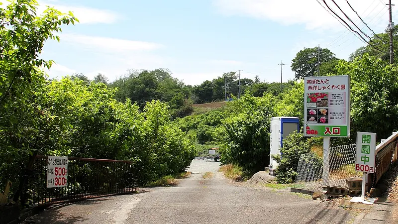 高崎市乗附町の隠れた花の名園