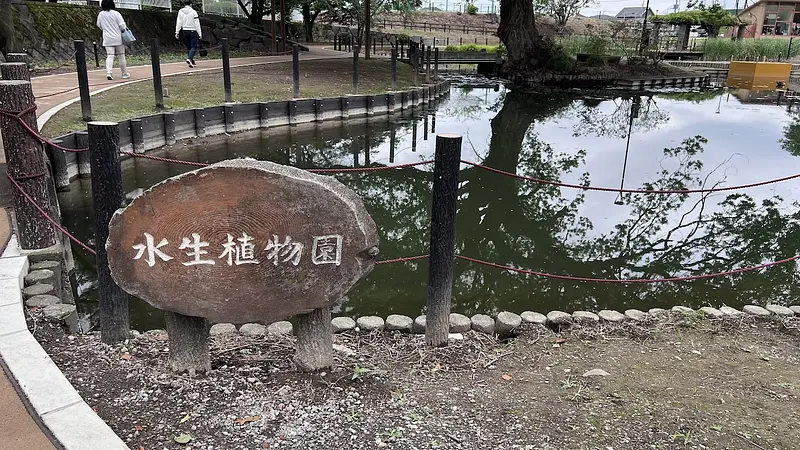 華蔵寺公園水生植物園