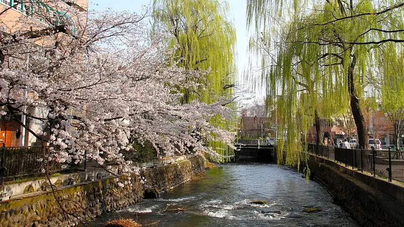 朔太郎橋