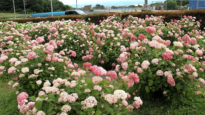 環境システム荻窪公園