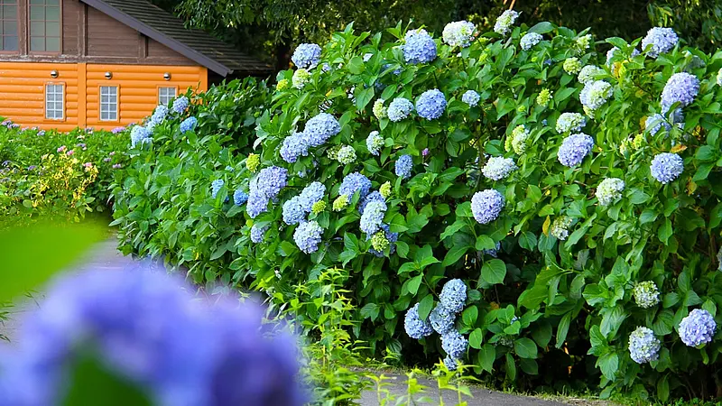 環境システム荻窪公園とは？