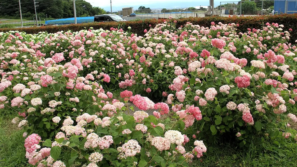 環境システム荻窪公園