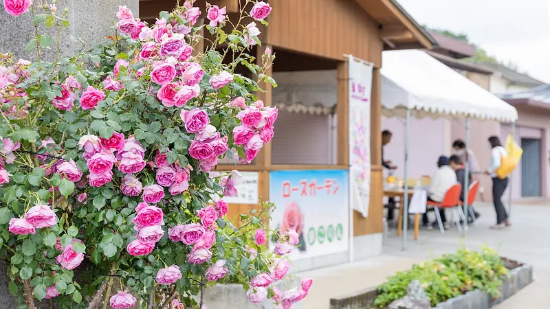 「花より団子」の庭へ