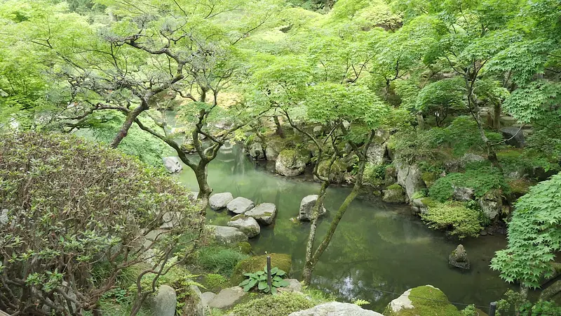 徳明園の自然