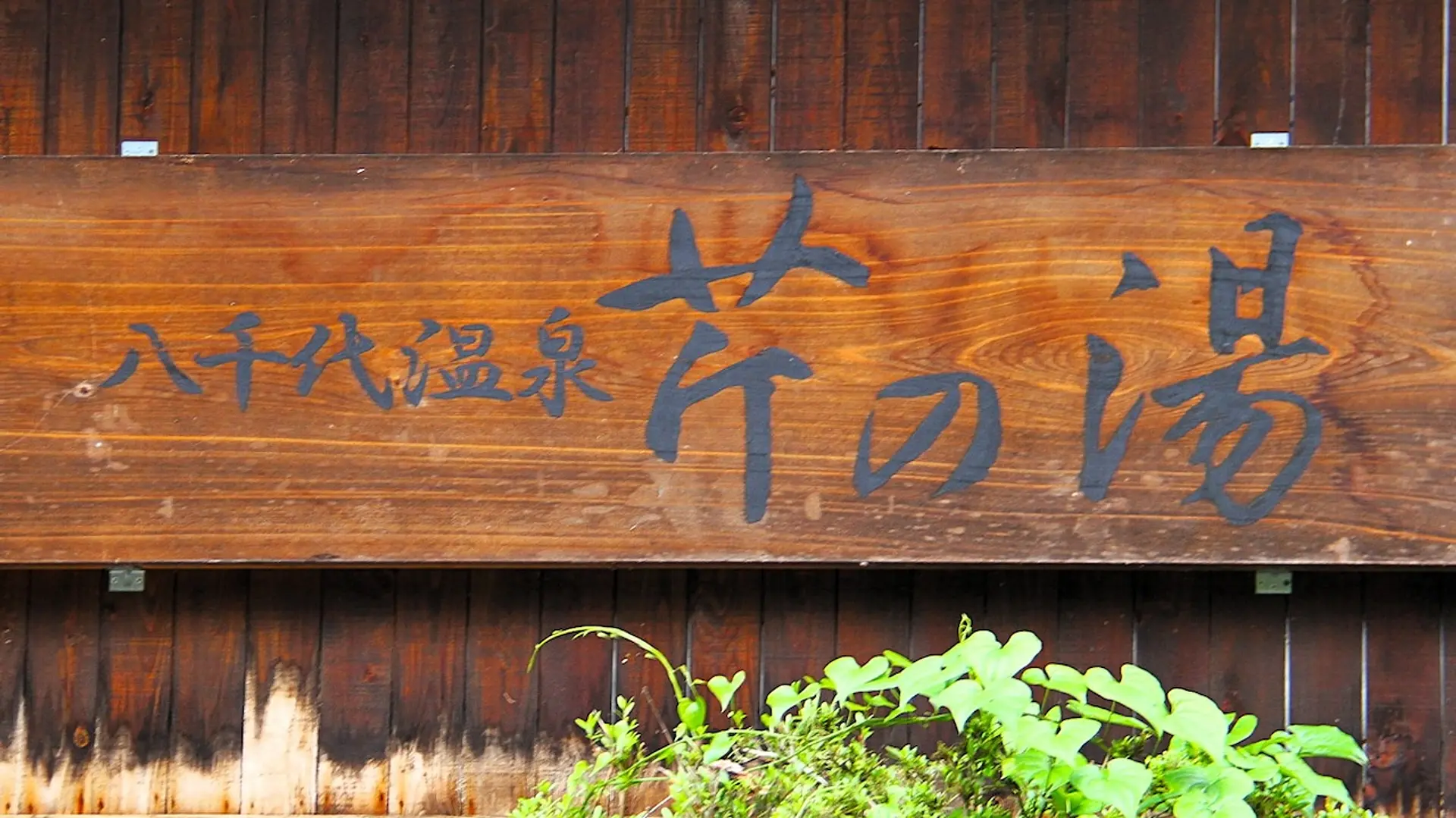 八千代温泉 芹の湯