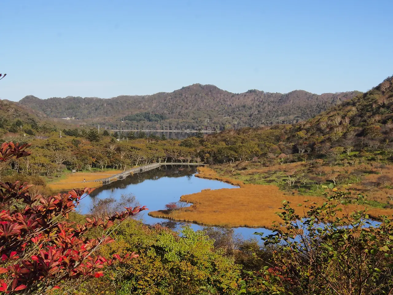 赤城山　覚満淵（2）（前橋市）