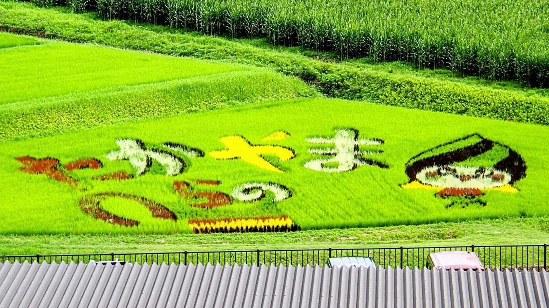 高山村田んぼアート