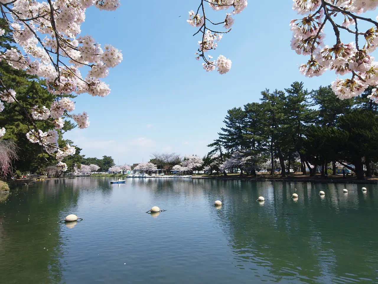 敷島公園（1）（前橋市）