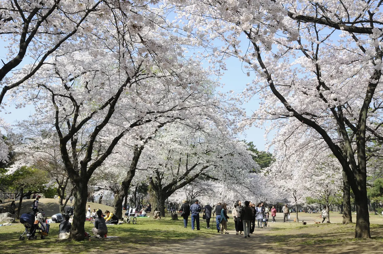 敷島公園（2）（前橋市）