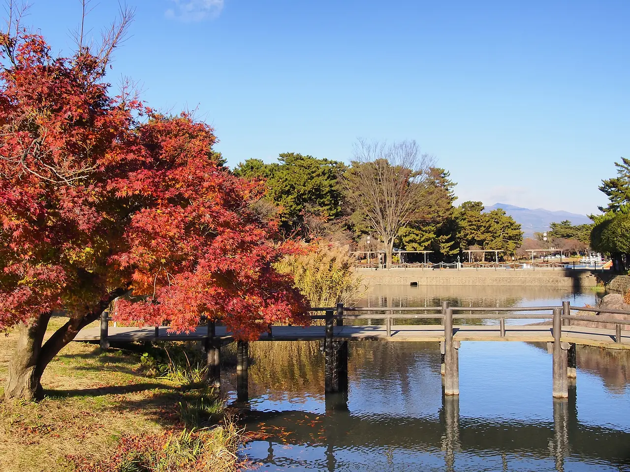 敷島公園（3）（前橋市）