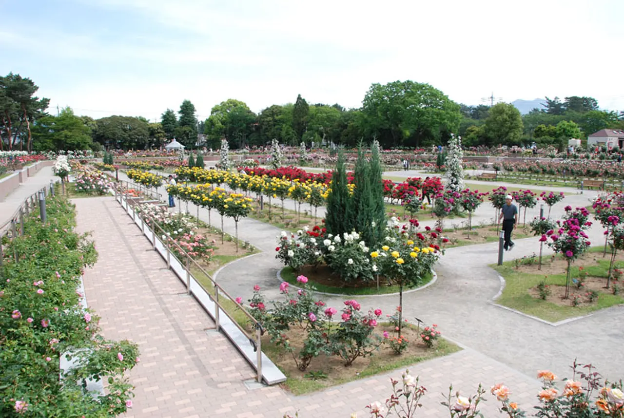 敷島公園門倉テクノばら園（1）（前橋市）