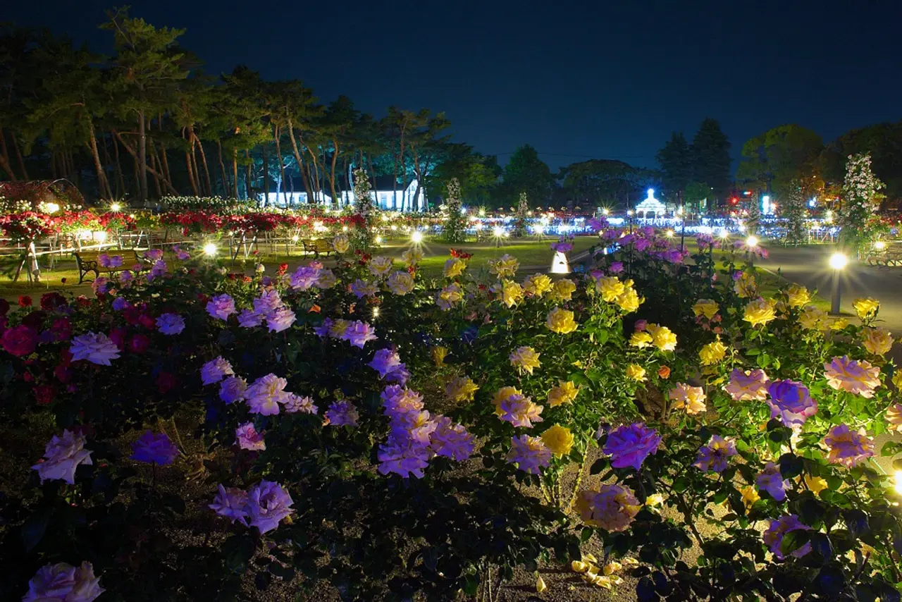 敷島公園門倉テクノばら園（4）（前橋市）