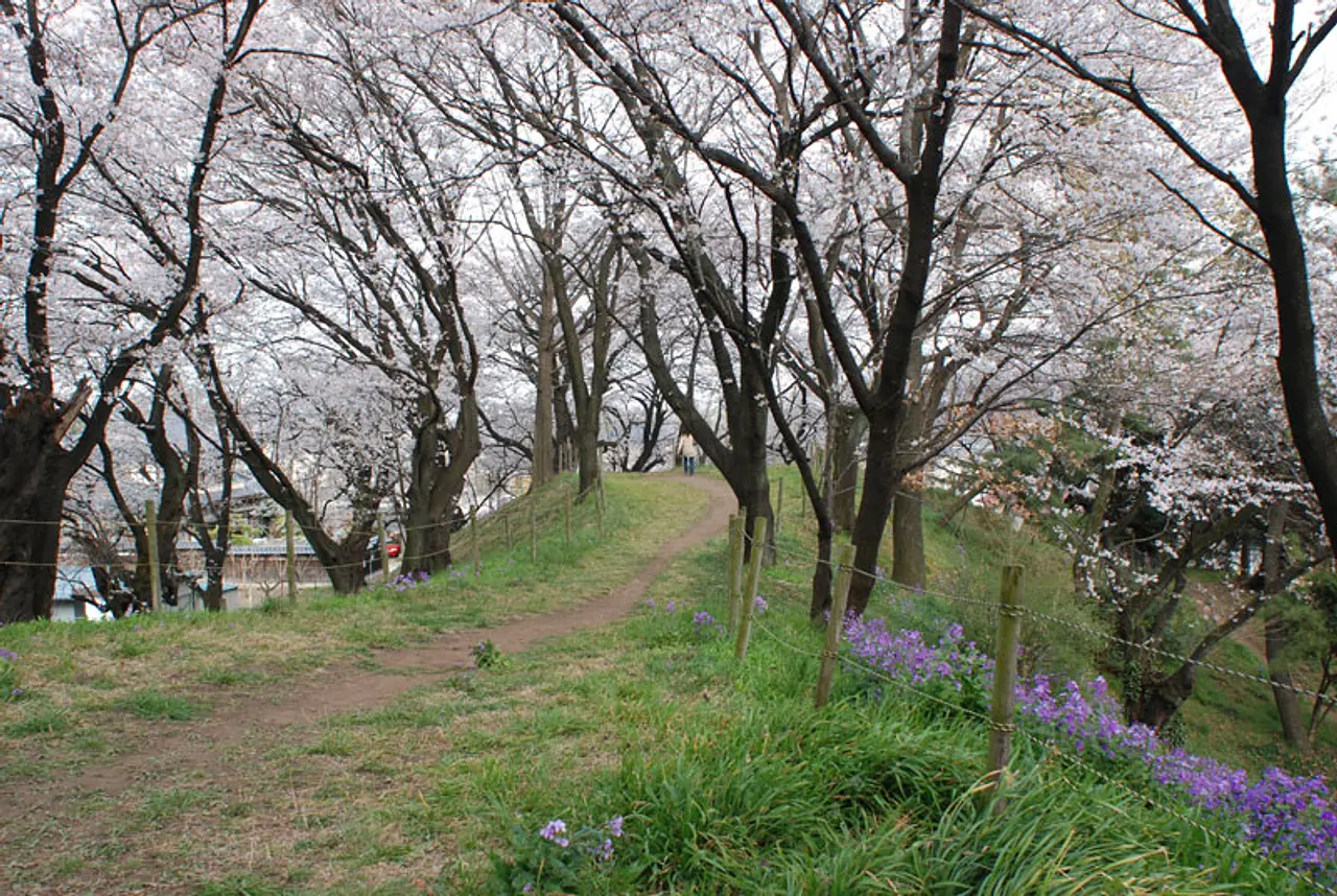 総社二子山古墳（2）（前橋市）