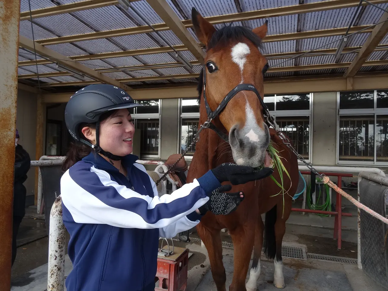 林牧場群馬県馬事公苑（3）（前橋市）