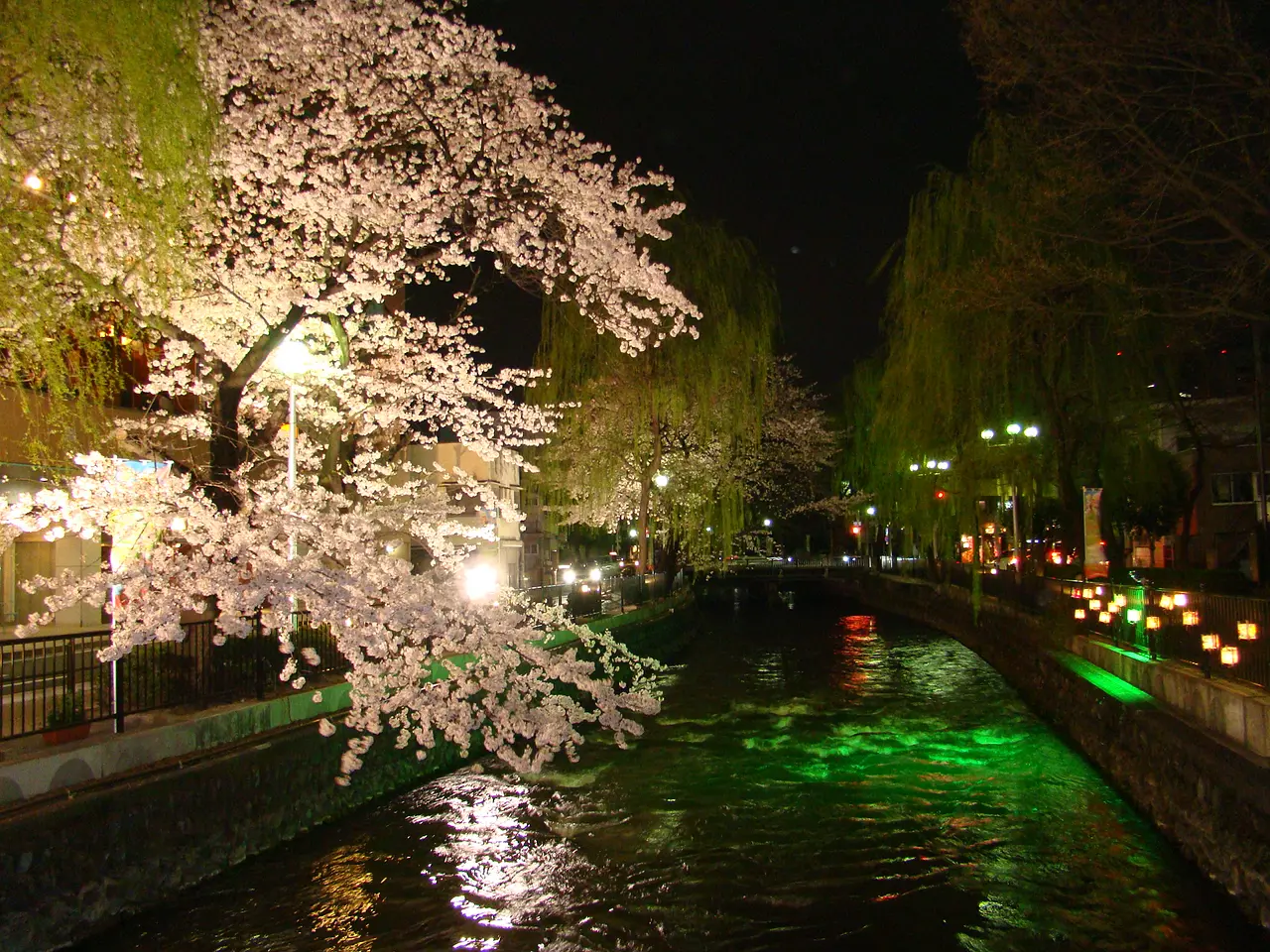 広瀬川（1）（前橋市）