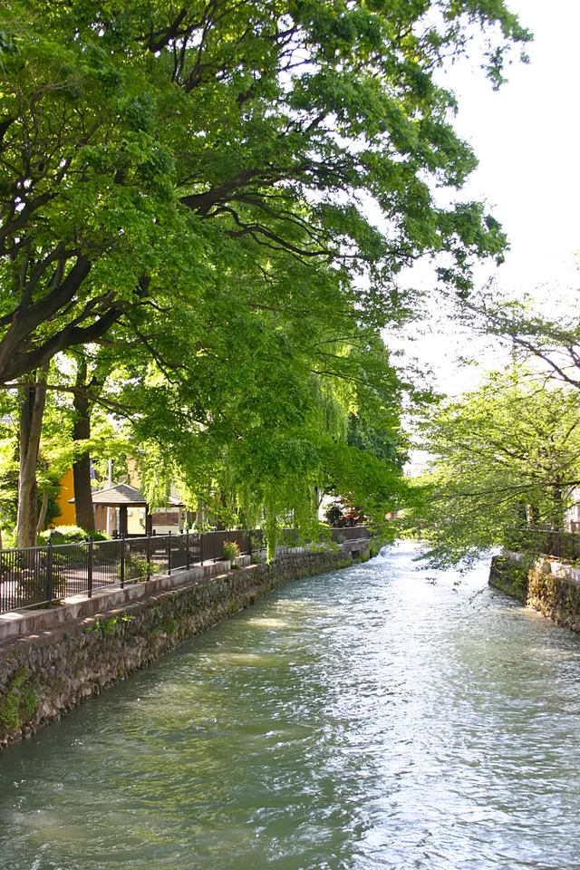 広瀬川（2）（前橋市）