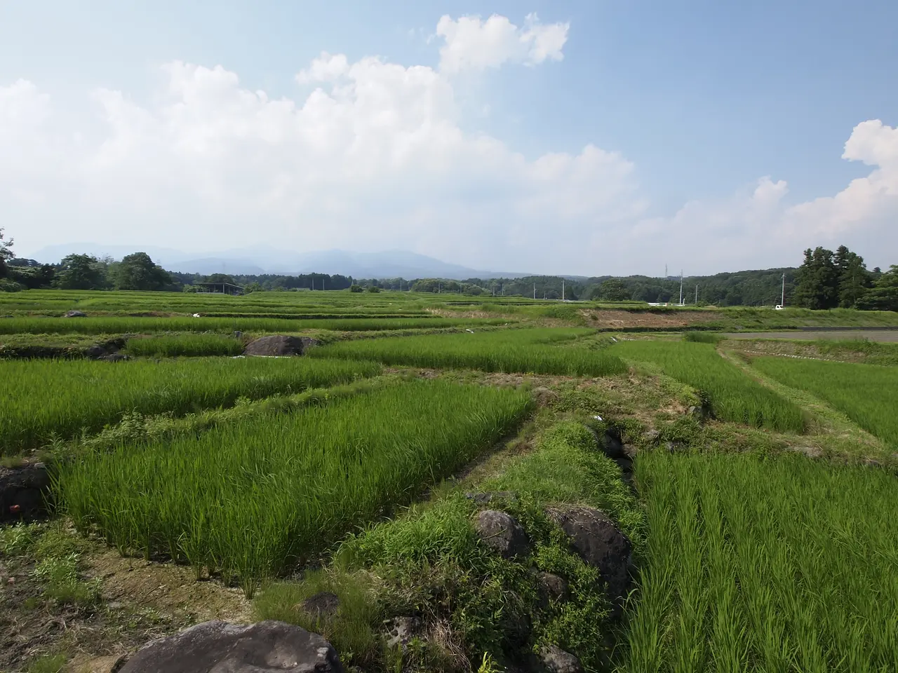 粕川室沢地区（2）（前橋市）