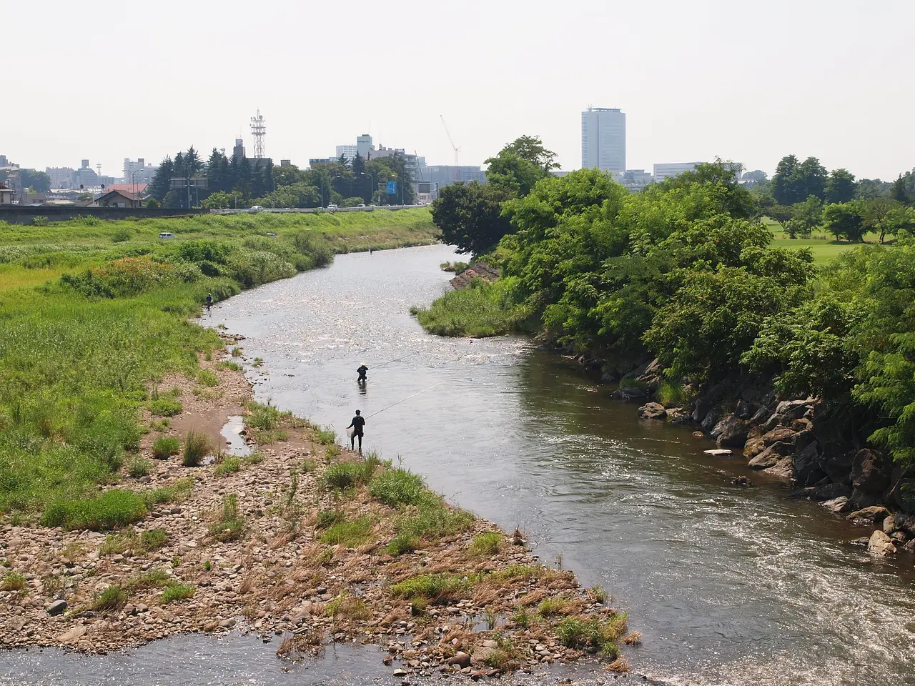 烏川　鮎釣り（高崎市）