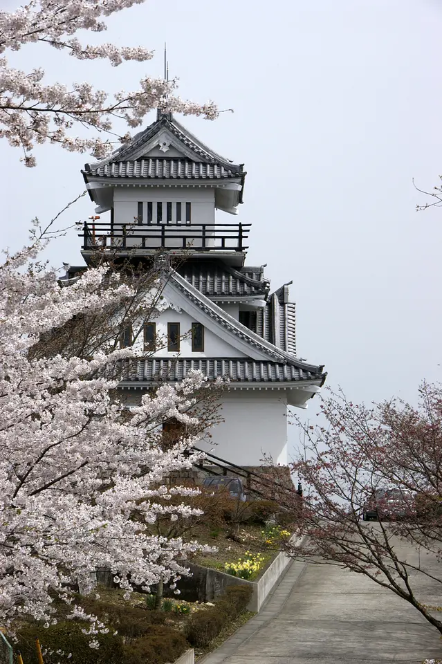 牛伏山自然公園　桜（高崎市）