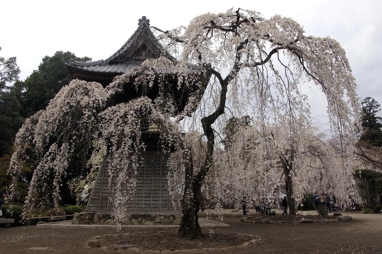 慈眼院（1）（高崎市）