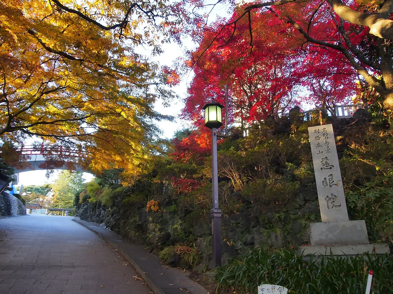 慈眼院（2）（高崎市）