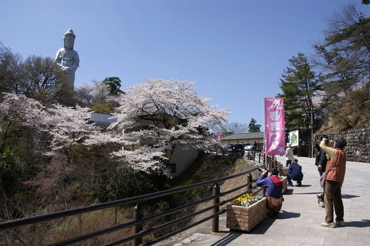 春の観音山（高崎市）