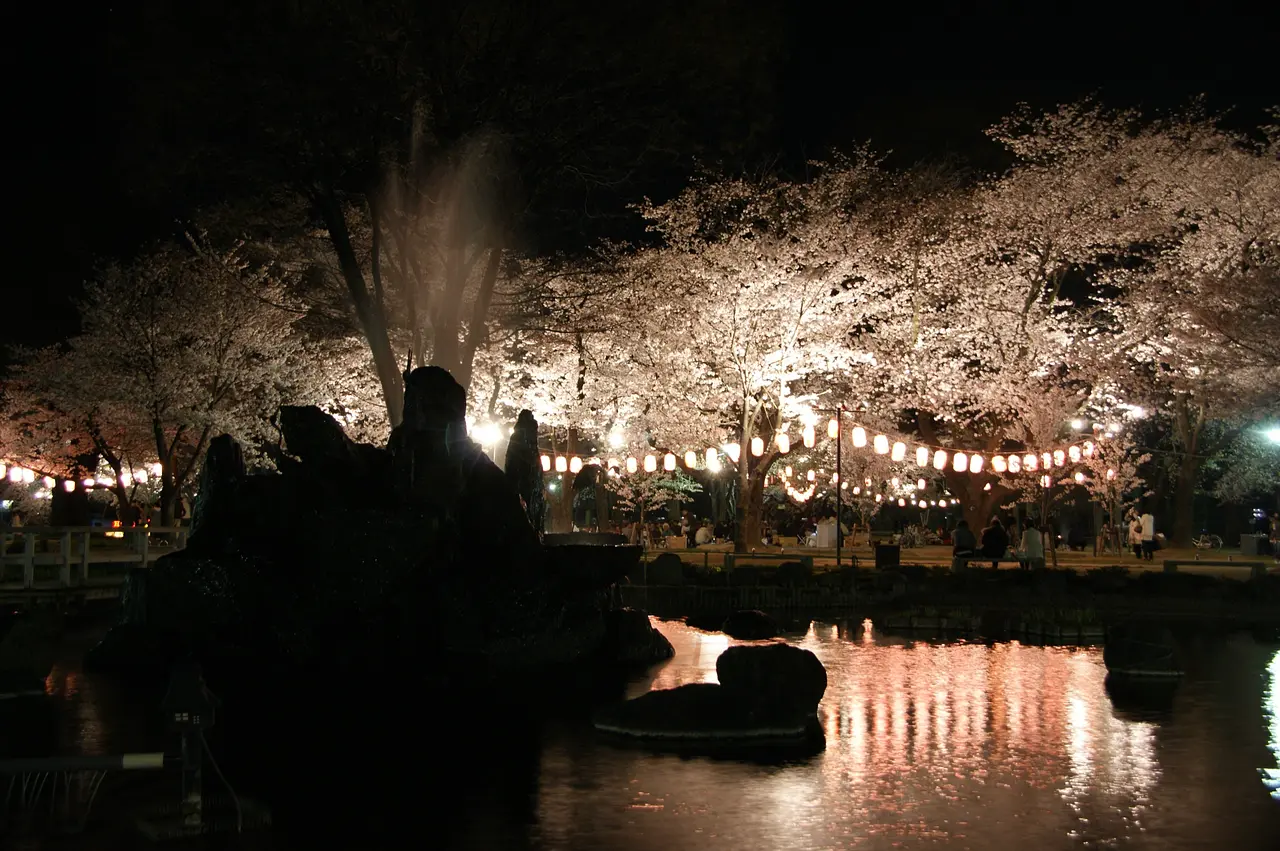 高崎公園　桜（高崎市）