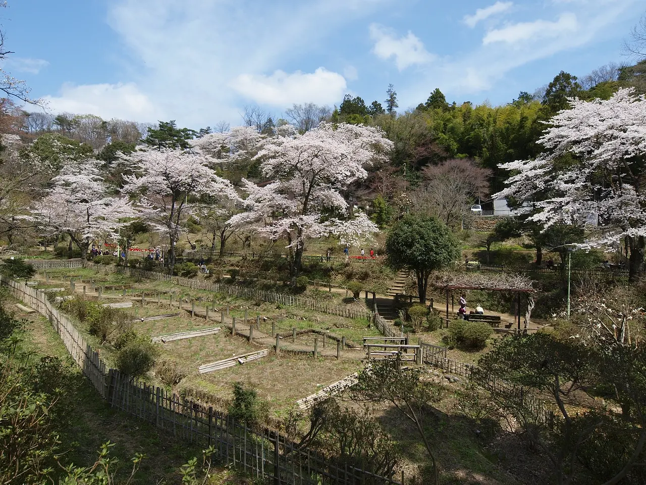 吾妻公園（1）（桐生市）