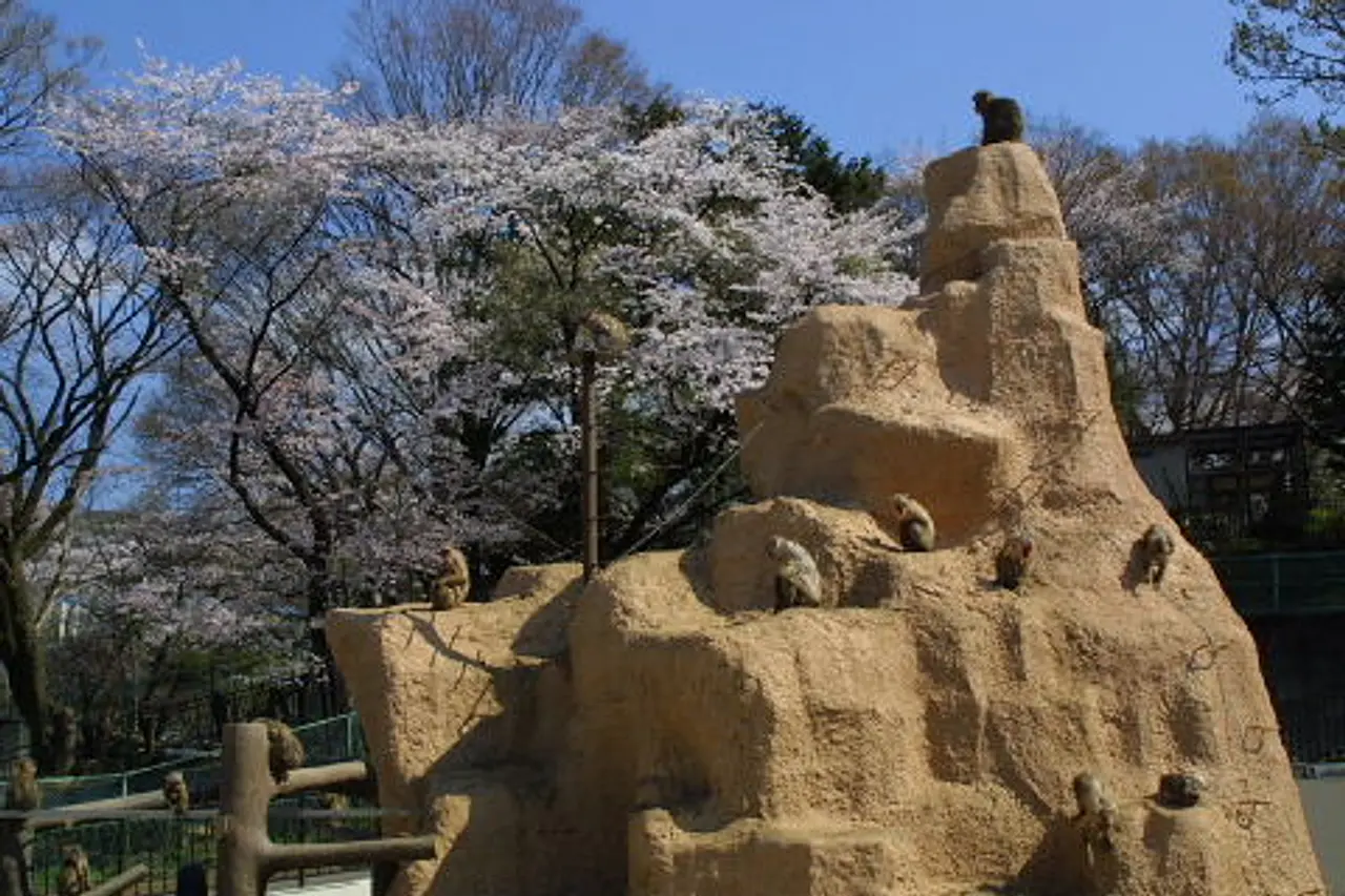 未来へはばたけ山田製作所桐生が岡動物園（1）（桐生市）