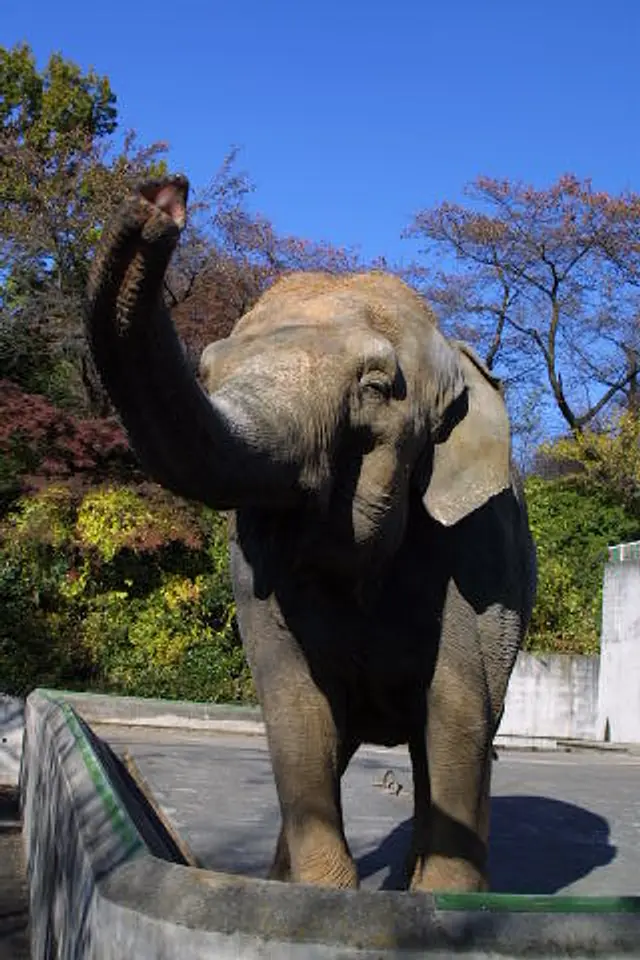 未来へはばたけ山田製作所桐生が岡動物園（2）（桐生市）