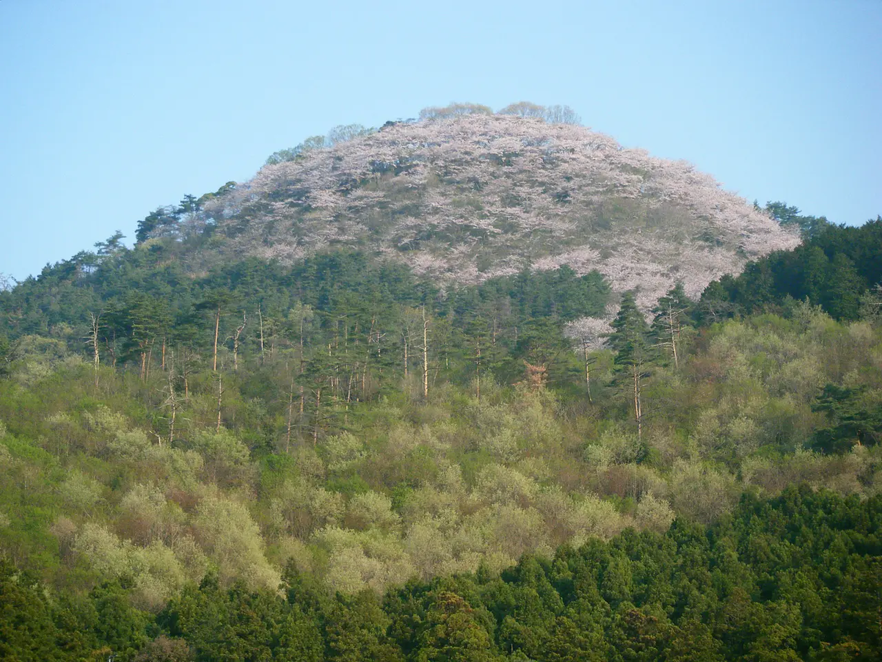 柄杓山（1）（桐生市）