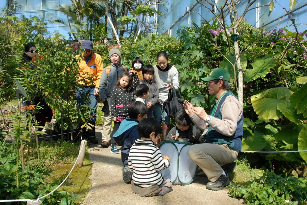 ぐんま昆虫の森　昆虫観察会（桐生市）